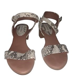 Steve Madden Beige and Black Snakeskin Sandals